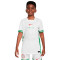 Maillot Nike Enfant Nigéria Maillot Domicile 2024