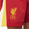 Tenue Nike Enfants Liverpool FC Kit Domicile 2024-2025