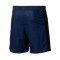 Short Nike PSG Kit Domicile Authentic 2024-2025