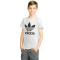 T-Shirt adidas Enfants Adicolor