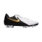 Chaussure de football Nike Phantom GX II Academy AG