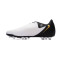 Chaussure de football Nike Phantom GX II Academy AG