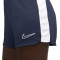 Short Nike Femme Dri-Fit Academy 23