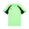 T-Shirt Puma Individualliga Jersey