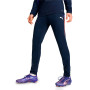 Individualliga Training Pants-Club Navy