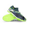 Chaussures de futsal Puma Future 7 Match IT