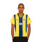 Maillot Puma Fenerbahce Maillot Domicile 2024-2025