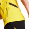 Maillot Puma Borussia Dortmund Maillot Domicile 2024-2025