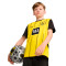 Maillot Puma Enfants Borussia Dortmund  Maillot Domicile 2024-2025