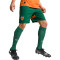 Short Puma Troisième Kit Valencia CF 2024-2025