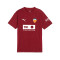T-Shirt Puma Enfant Valencia CF Entraînement 2024-2025