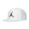 Casquette Jordan Jumpman Pro Ajustable