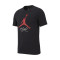 T-Shirt Jordan Jumpman Flight