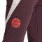 Pantalon adidas FC Bayern Training 2024-2025
