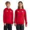 Sweat-shirt adidas Enfants FC Bayern Fanswear 2024-2025