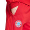 Pantalon adidas FC Bayern Fanswear 2024-2025