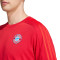 T-Shirt adidas FC Bayern Fanswear 2024-2025