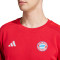 Sweat-shirt adidas FC Bayern Fanswear 2024-2025