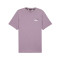 T-Shirt Puma Essentials + 2 Col Small Logo