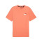 T-Shirt Puma Essentials Small Logo