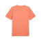 T-Shirt Puma Essentials Small Logo