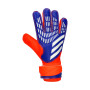 Enfant Predator Training-Lucid blue-Solar red-White