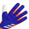 Gants adidas Predator Pro