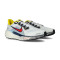 Chaussures Nike Air Zoom Pegasus 41