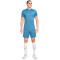 T-Shirt Nike Academy Dri-FIT