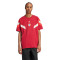 T-Shirt adidas FC Bayern Fanswear 2024-2025