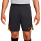 Short Nike Liverpool FC Entraînement 2024-2025