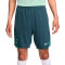 Short Nike Tottenham Hotspur FC Training 2024-2025