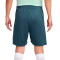 Short Nike Tottenham Hotspur FC Training 2024-2025