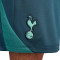 Short Nike Tottenham Hotspur FC Training 2024-2025
