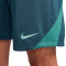 Short Nike Tottenham Hotspur FC Training 2024-2025