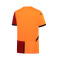Maillot Puma Galatasaray 2024-2025 Accueil