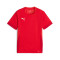 Maillot Puma Enfant teamGOAL