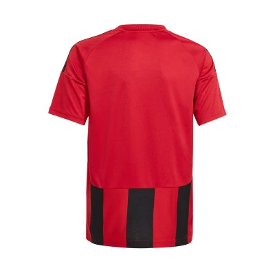 T-Shirt Striped 24 m/c
