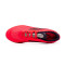 Chaussures de futsal adidas F50 League IN