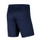 Short Nike Park III Knit Gimnástica de Torrelavega Niño