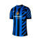 Maillot Nike Inter Milan Maillot Domicile Authentic 2024-2025