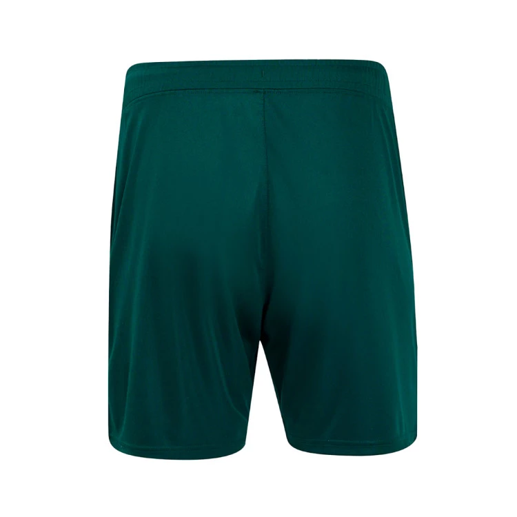 pantalon-corto-castore-ud-almeria-segunda-equipacion-2024-2025-ponderosa-pine-1