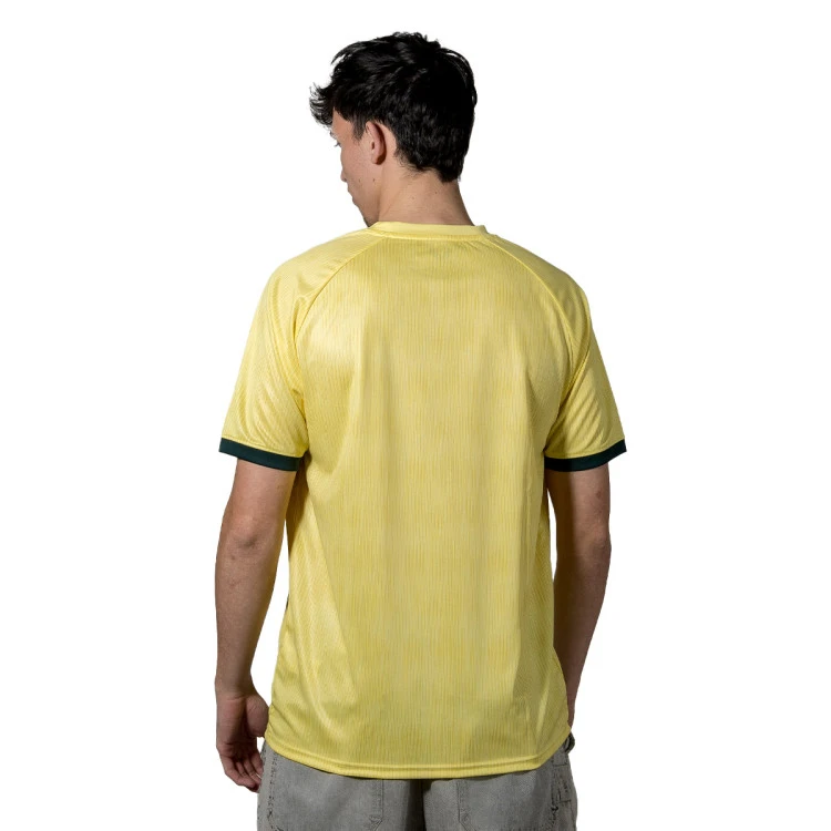 camiseta-castore-ud-almeria-tercera-equipacion-2024-2025-lemon-verbena-1