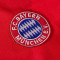 T-Shirt COPA Fc Bayern München 1988 - 89 Retro Football Shirt