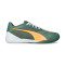 Chaussures de futsal Puma Ibero IV