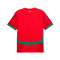 Maillot Puma du Maroc Domicile Coupe d'Afrique 2025