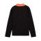 Sweat-shirt Puma Individualliga 1/4 Zip Top Jr