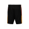 Short Puma Individualliga Training Shorts 2 Jr