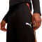 Pantalon Puma Individualliga Training Pants