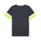 T-Shirt Puma Individual Rise